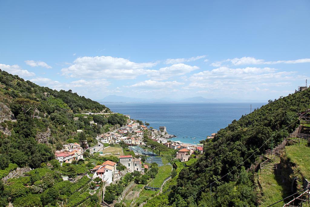 Limoneto Di Ercole Maiori